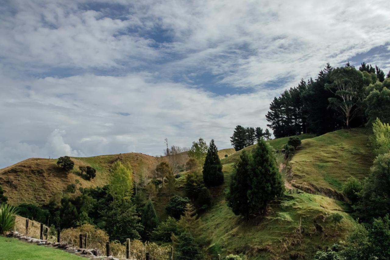Luxury Stay, Alpaca Farm Paraparaumu Exteriör bild