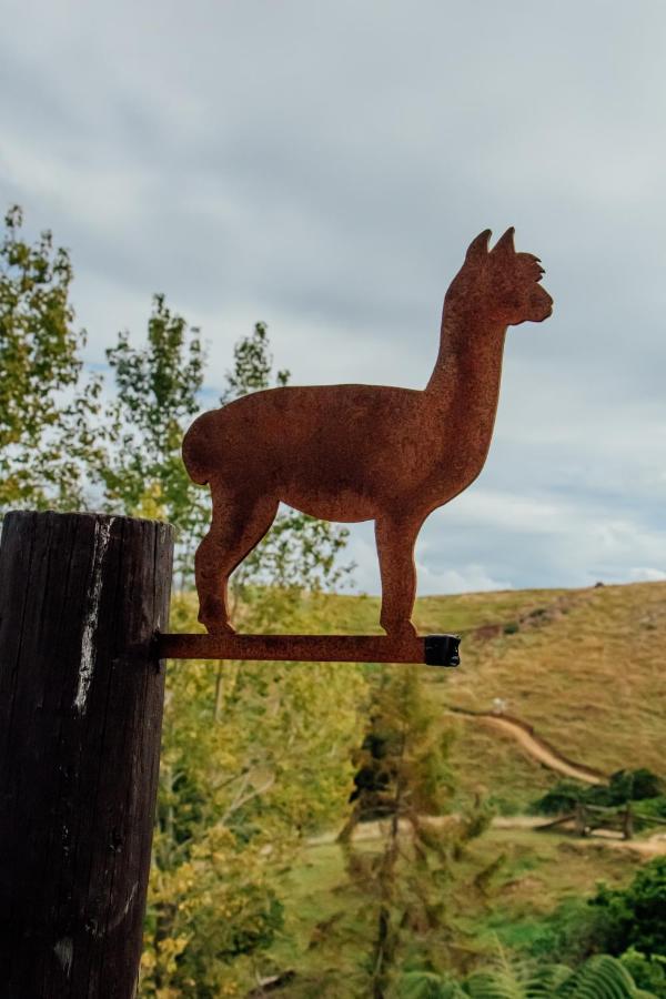Luxury Stay, Alpaca Farm Paraparaumu Exteriör bild