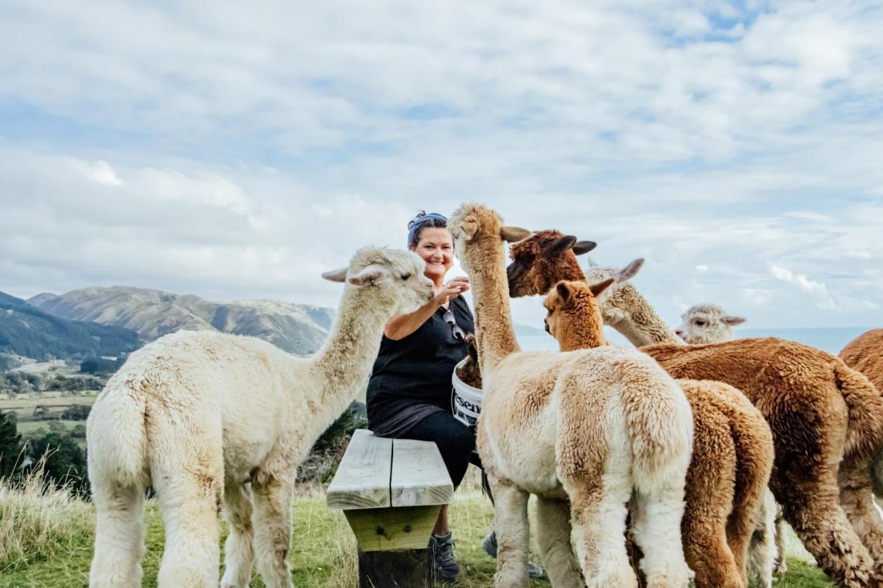 Luxury Stay, Alpaca Farm Paraparaumu Exteriör bild